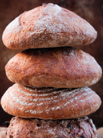 brood